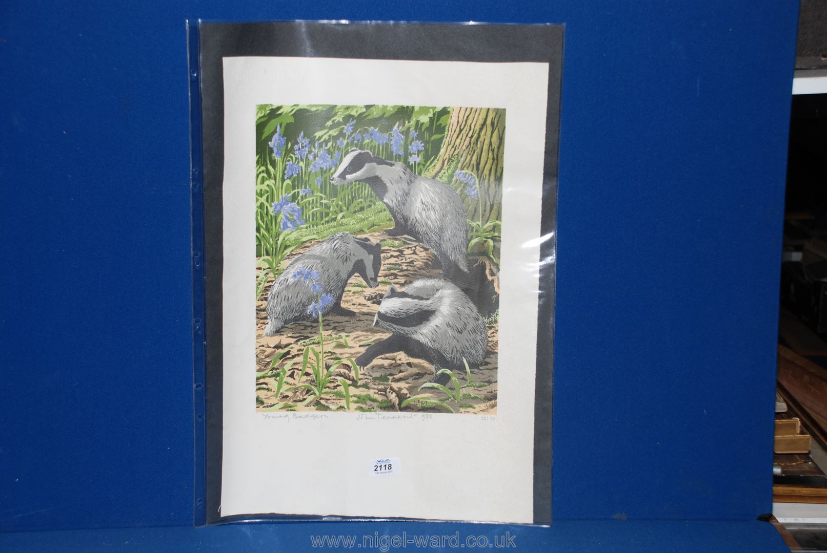 A John Tennent limited edition Print "Young Badgers", 1988, pencil signed.