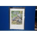 A John Tennent limited edition Print "Young Badgers", 1988, pencil signed.