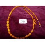 A string of Amber beads 25" long,