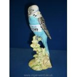 A Beswick Budgerigar