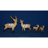 A Beswick deer family; a stag, a doe and two fawns.