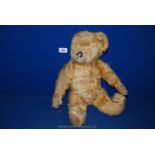 A well loved Teddy Bear,