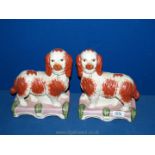 A pair of Staffordshire dogs