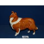 A Beswick 'Collie Lochinvan of Lady Park'.