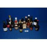 A quantity of miniatures including Dimple, Drambuie, Harveys, Taylors, Baileys, etc.