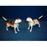 A pair of Beswick Hounds.