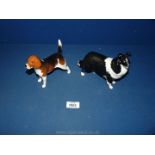 A Beswick black and white Collie and a Beswick ''Wendover Billy'' Beagle.