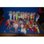 A quantity of Sindy and Barbie dolls.