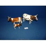 A Beswick Ayrshire Bull 'Whitemill Mandate, Ayrshire cow 'Ickam Bessie' and calf.