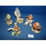 Five Hereford Fine China Ltd. bird figures by Michael R.
