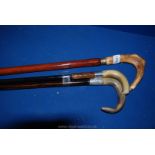 A pair of silver collared and horn Sticks,