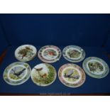 Twelve Royal Grafton 'Springtime' and six Coalport 'Birds of Great Britain' display Plates.
