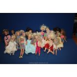 A quantity of Sindy and Barbie dolls, some a/f.