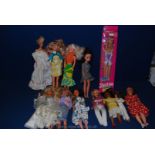 A quantity of Barbie and Sindy dolls.