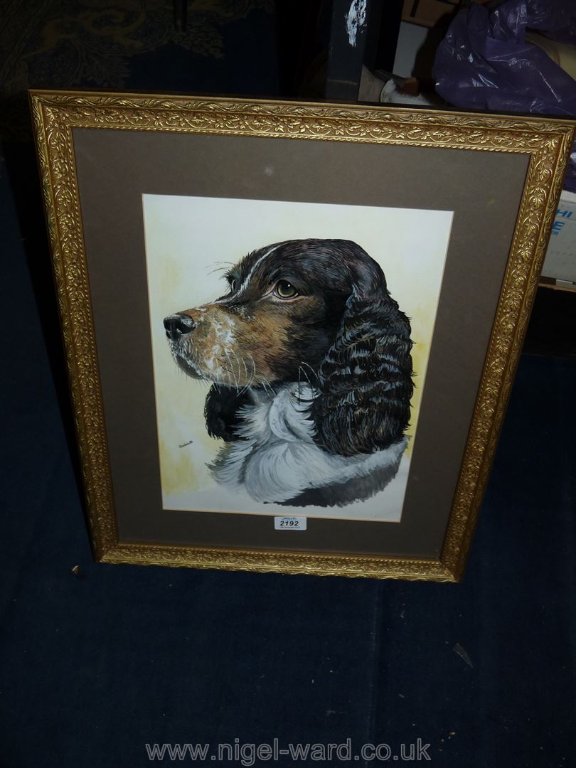 A framed Watercolour of Spaniel by S. Goodwin 1986.