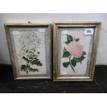 Two framed early 19th century watercolours on rice paper,