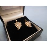 A pair of diamond cluster earrings.