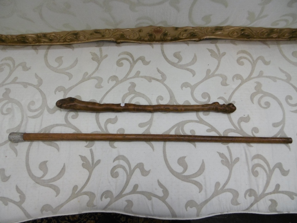 A silver topped cane and Shilalee - Bild 3 aus 3