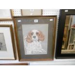 a framed and glazed pastel spaniel "J Ready"