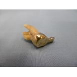 A gold mounted tooth