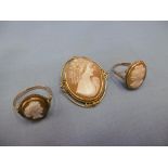 A 9ct shell cameo brooch and two 9ct gold shell cameo rings