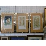 A set of framed artist proof prints,