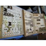 Two boxes of taxidermy butterfly's