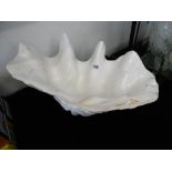 A large clam shell 30cm app