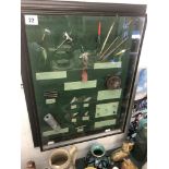 A framed fishing diorama