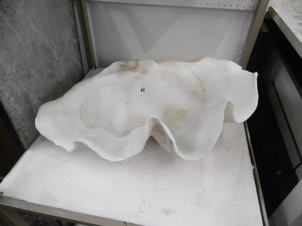 A large clam shell size 55cm