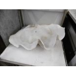 A large clam shell size 55cm