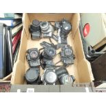 Ten assorted SLR cameras