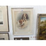 A framed and glazed watercolour of dogs