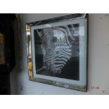 A framed and glazed picture of zebras