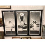 A framed set three photographic prints of a piston engined aircraft