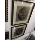 A pair of framed and glazed prints