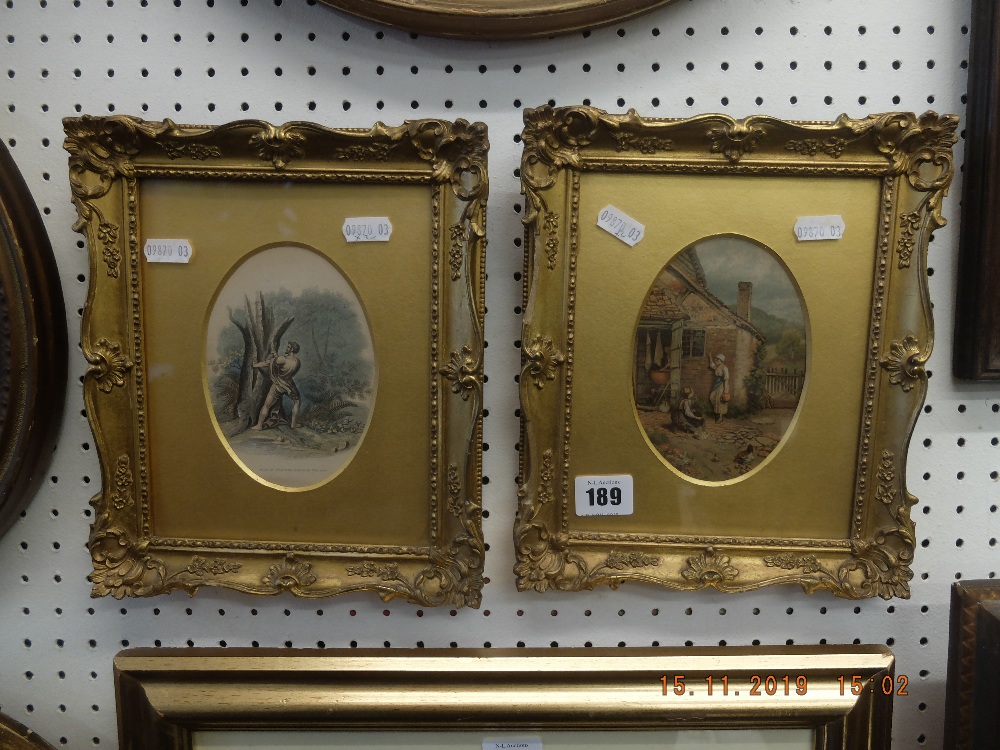 A pair of gilt framed coloured prints