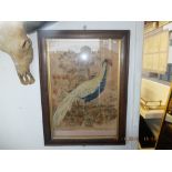 A framed 19th century needlepoint tapestry panel of a pheasant