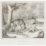 Jagd - - Happel, Friedrich. Jagd-Scenen nach Original-Zeichnungen. Lithographiert von C. Diedrich.