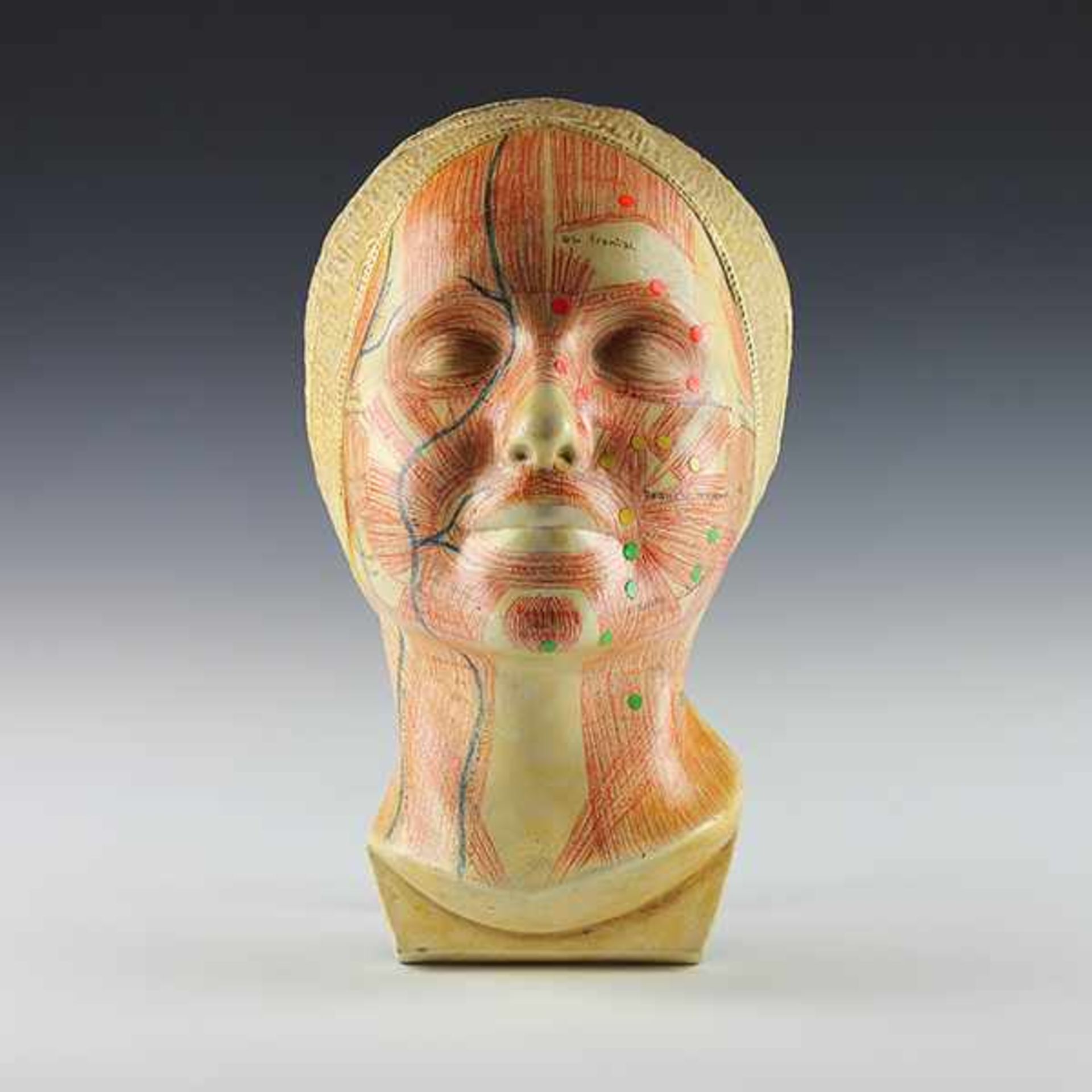 Medizin - - Anatomische Studienmaske von Simonne Laubé. Paris ca. 1930, rückseitig signiert "Simonne