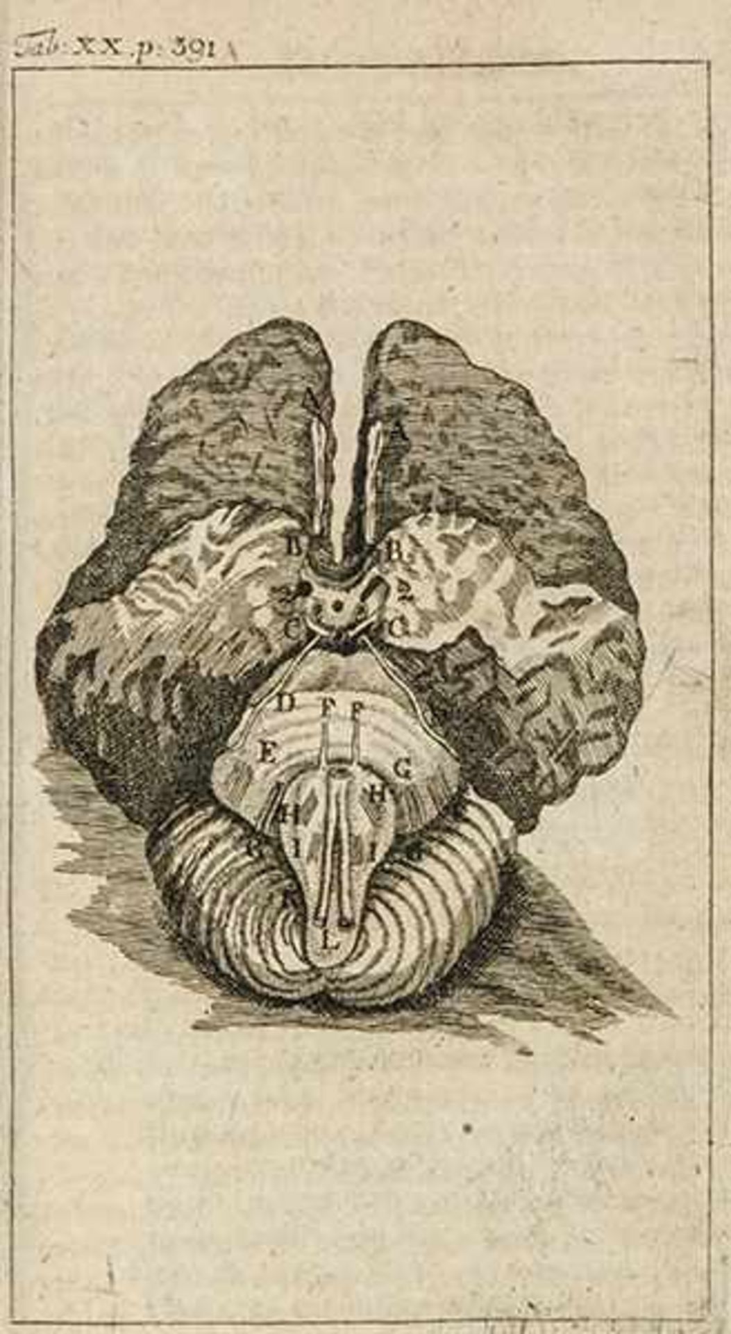 Medizin - Chirurgie - - Garengeot, Rene Jacques Croissant de. Splanchnologia sive anatomia viscerum.
