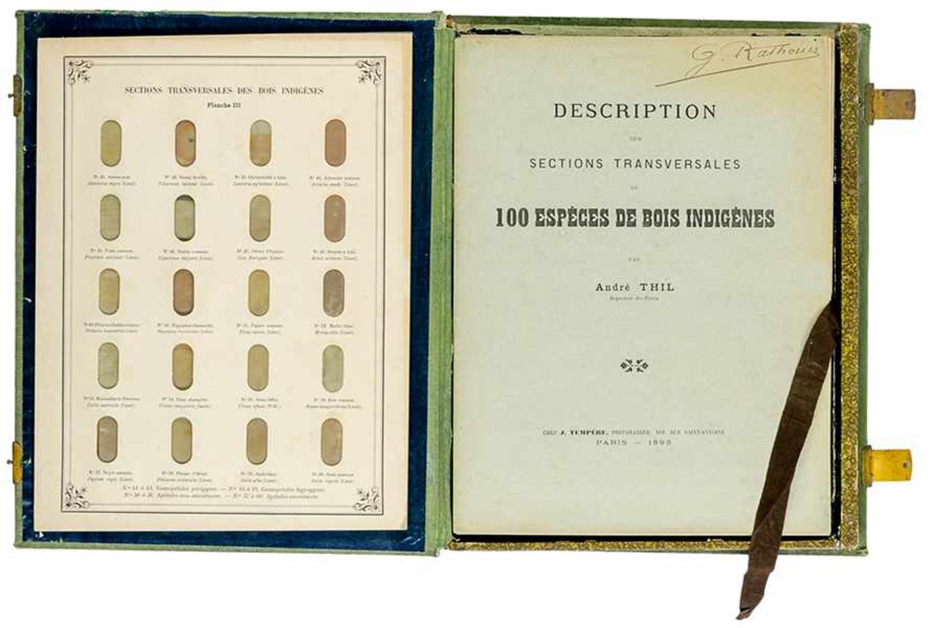 Flora - Fauna - - Thil, André. Sections transversales de 100 espèces de bois indigènes par André