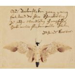 Kerner, Justinus. Kleksographie eines Schmetterlings mit begleitendem eigenhändigen, voll signierten