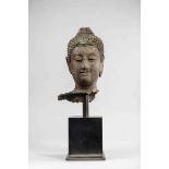 Tête de Buddha à l’expression sereine , les yeux mi-clos préconisant le regard [...]