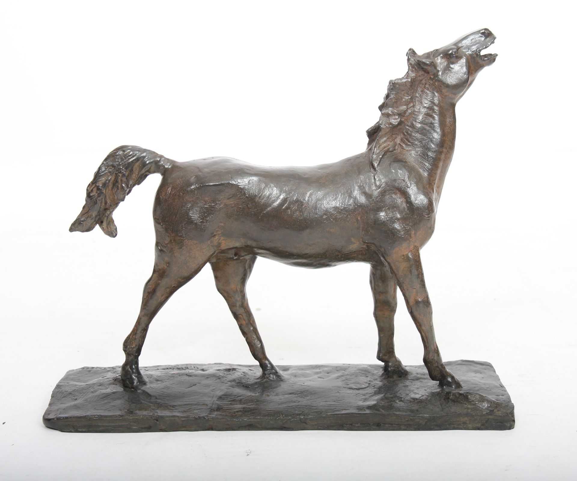 BRONZE "CHEVAL HENISSANT" DE PATRICE CHOBRIAT (Né en 1962) Bronze patiné, reposant [...] - Bild 4 aus 5