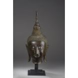 Tête de Buddha à l'expression sereine méditative, les lobbes d'oreilles [...]