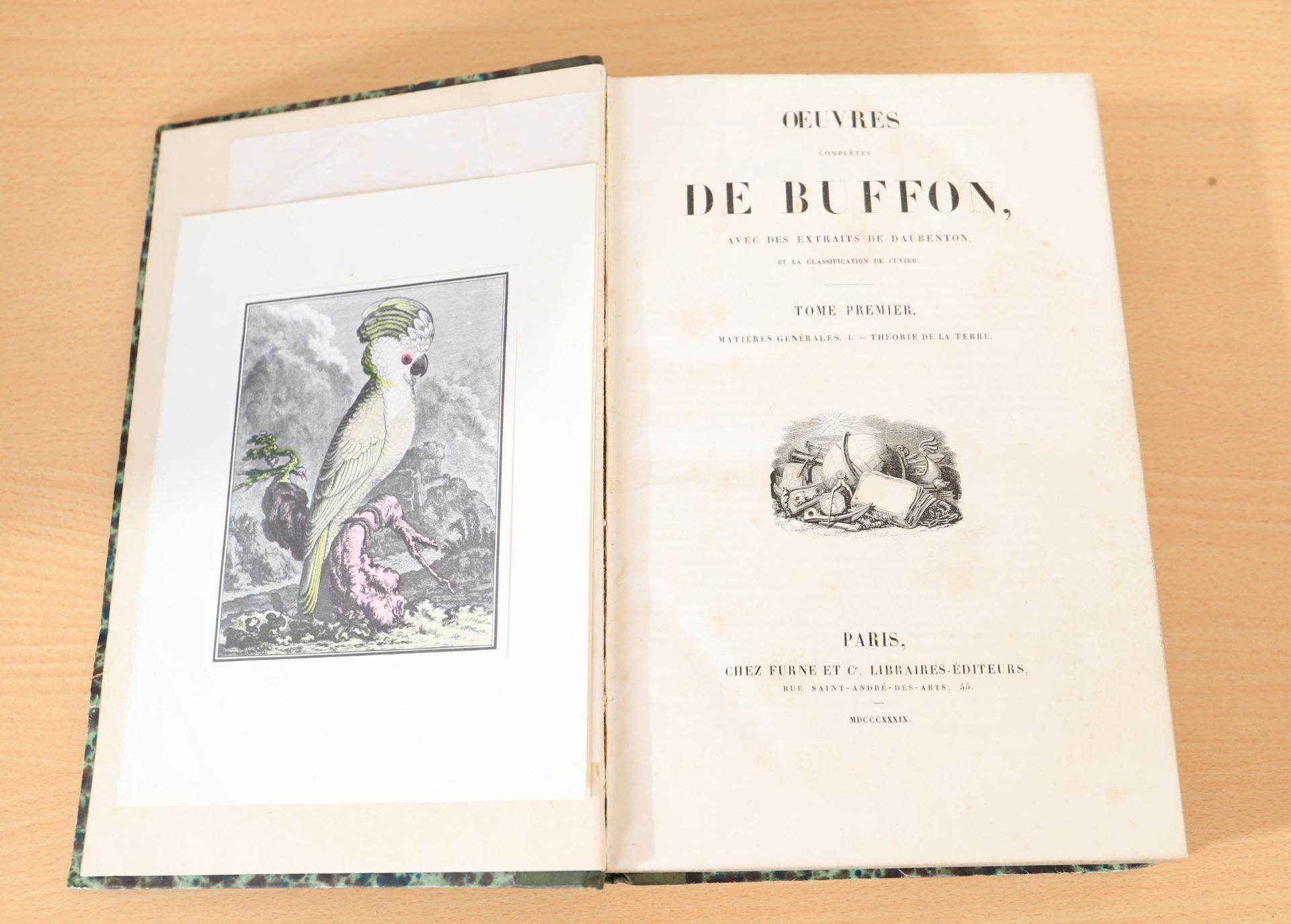 SUITE DE 6 VOLUMES ILLUSTRES DE BUFFON XIXè Comprenant : lla terre, les minéraux, [...] - Bild 2 aus 2