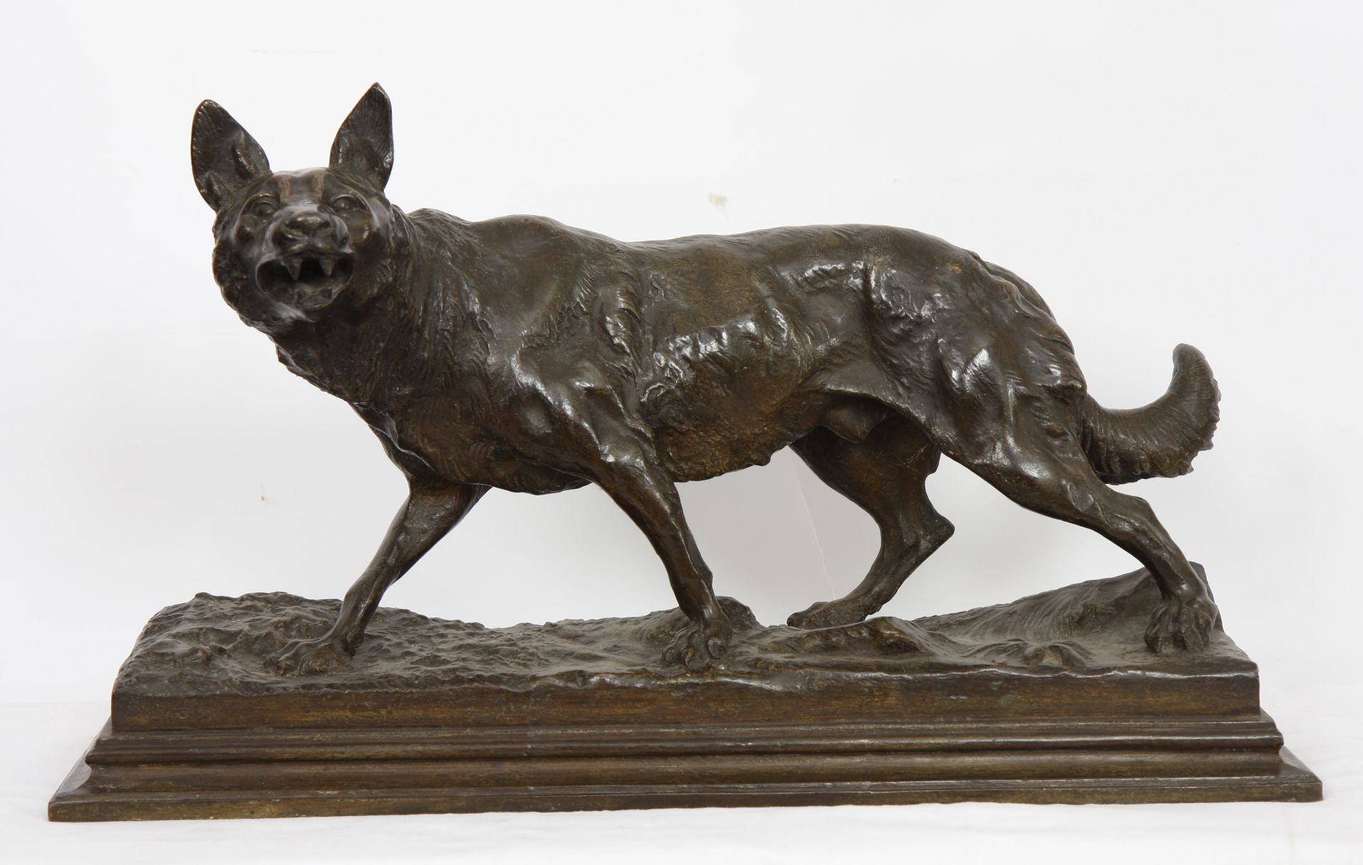 BRONZE "LOUP" DE ANTONIO AMORGASTI (1880-1942) En bronze patiné, signé et daté sur [...]