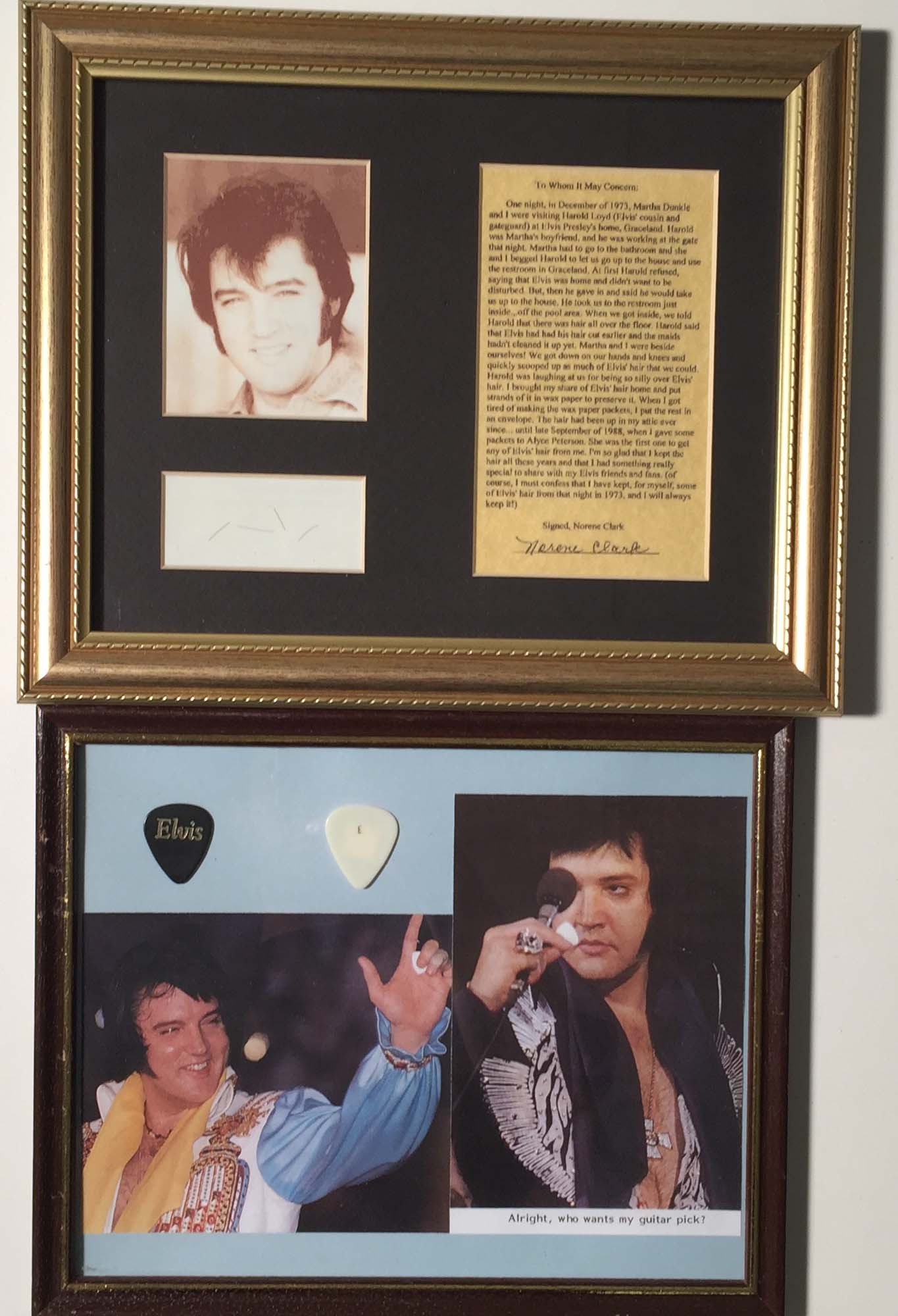 ROCK & ROLL MUSEUM DENMARK - ELVIS HAIR/GUITAR PICK.