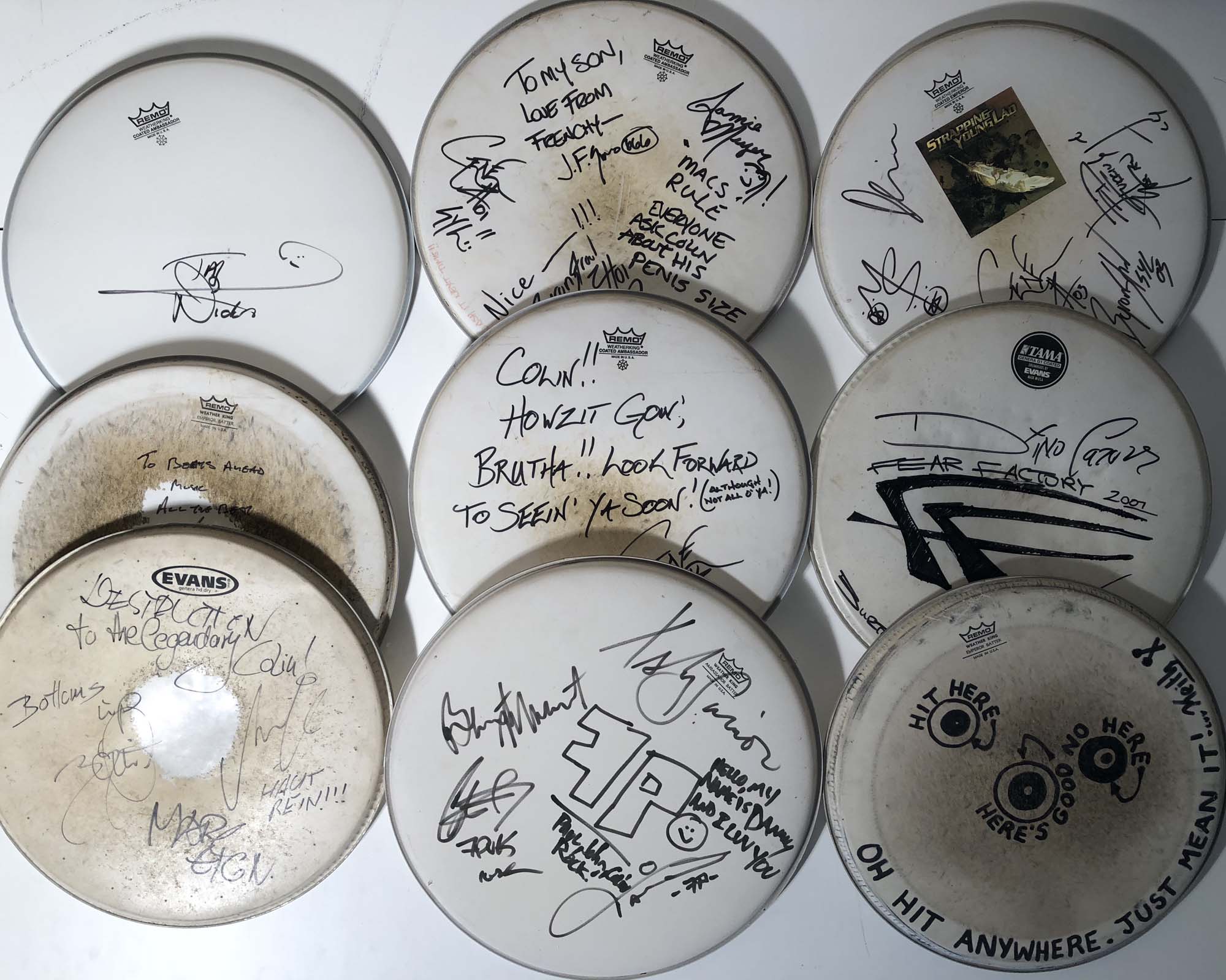 SIGNED DRUM SKINS/METAL BANDS PROMO ITEMS. - Image 3 of 6